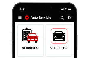 AppSheet: plantilla de servicios de vehiculos